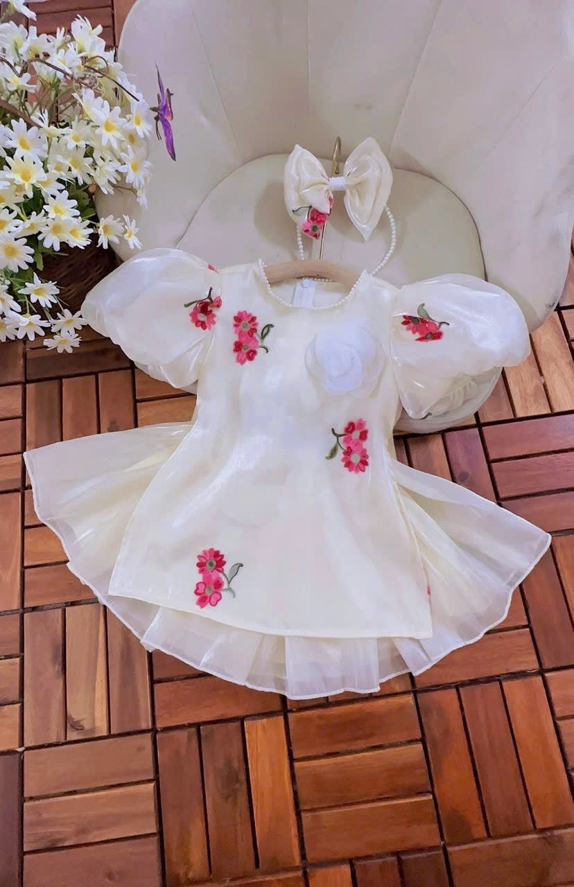 Baby, infant, newborn girl ao dai