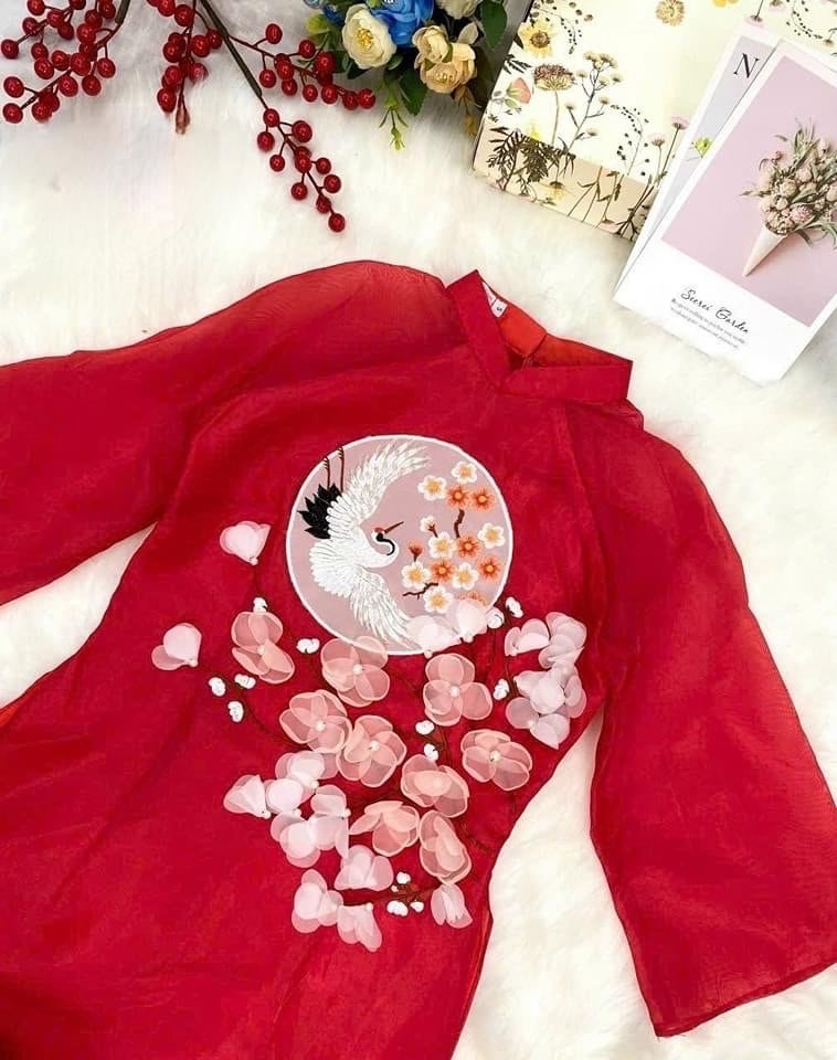 Vietnamese modern Ao dai - Ao dai cach tan