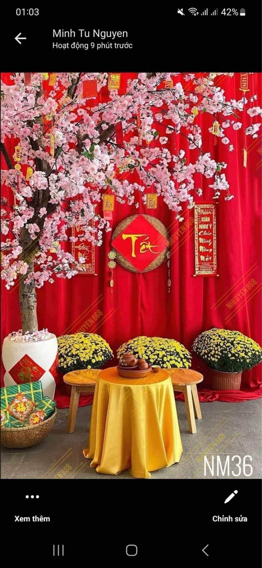 Tet, Lunar New Year backdrop 1.5x2m
