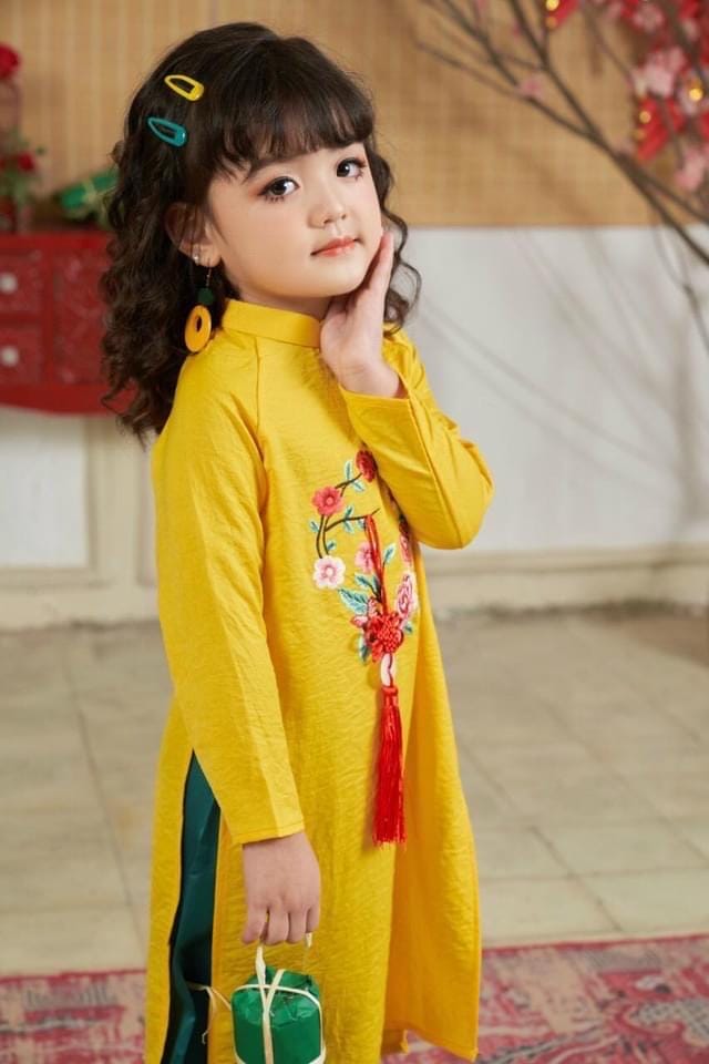 CLEARANCE embroidered silk ao dai for girls